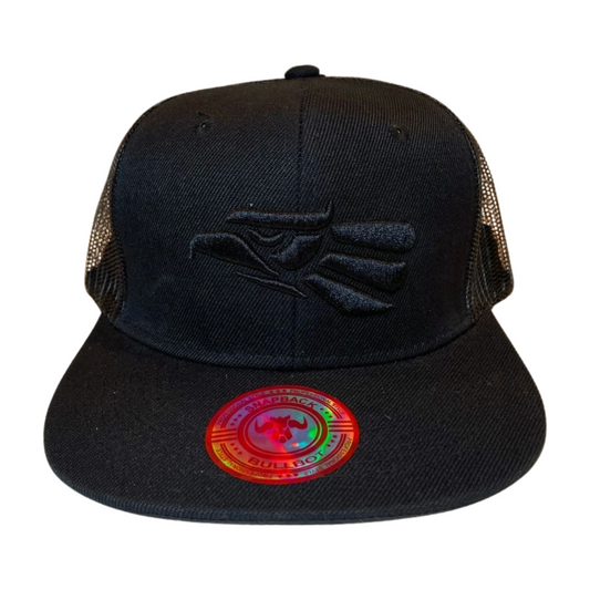 HP-DZ-EAGLE EMBROIDERY, FLAT BILL SNAPBACK