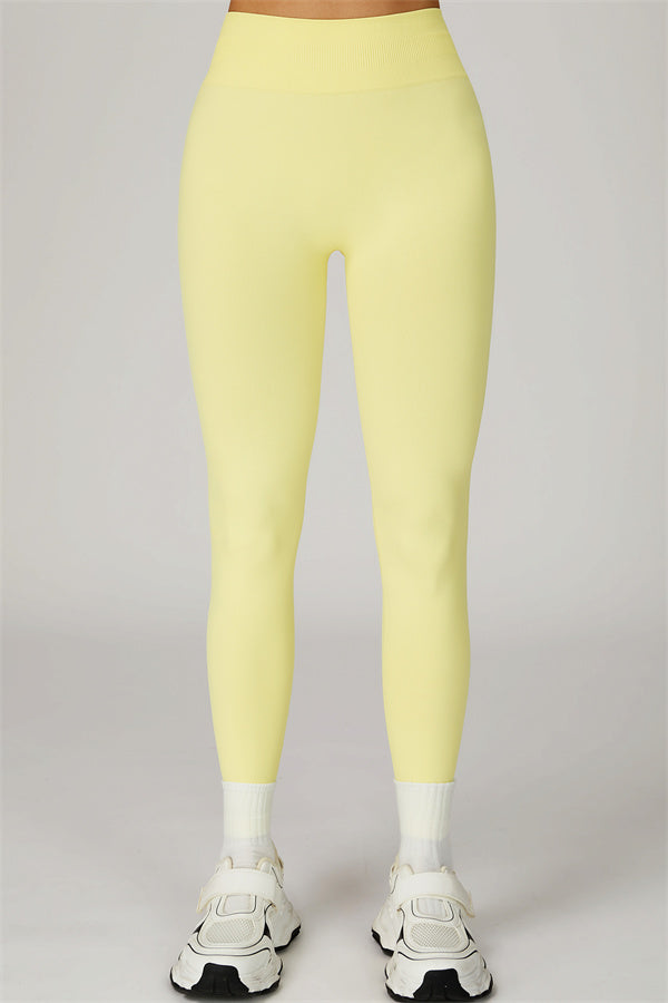 The Sculpt Leggings