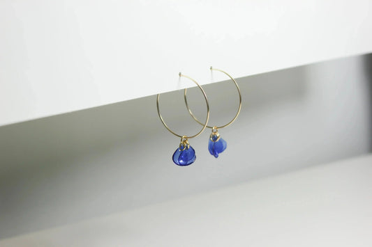 Emma Blue Hoops