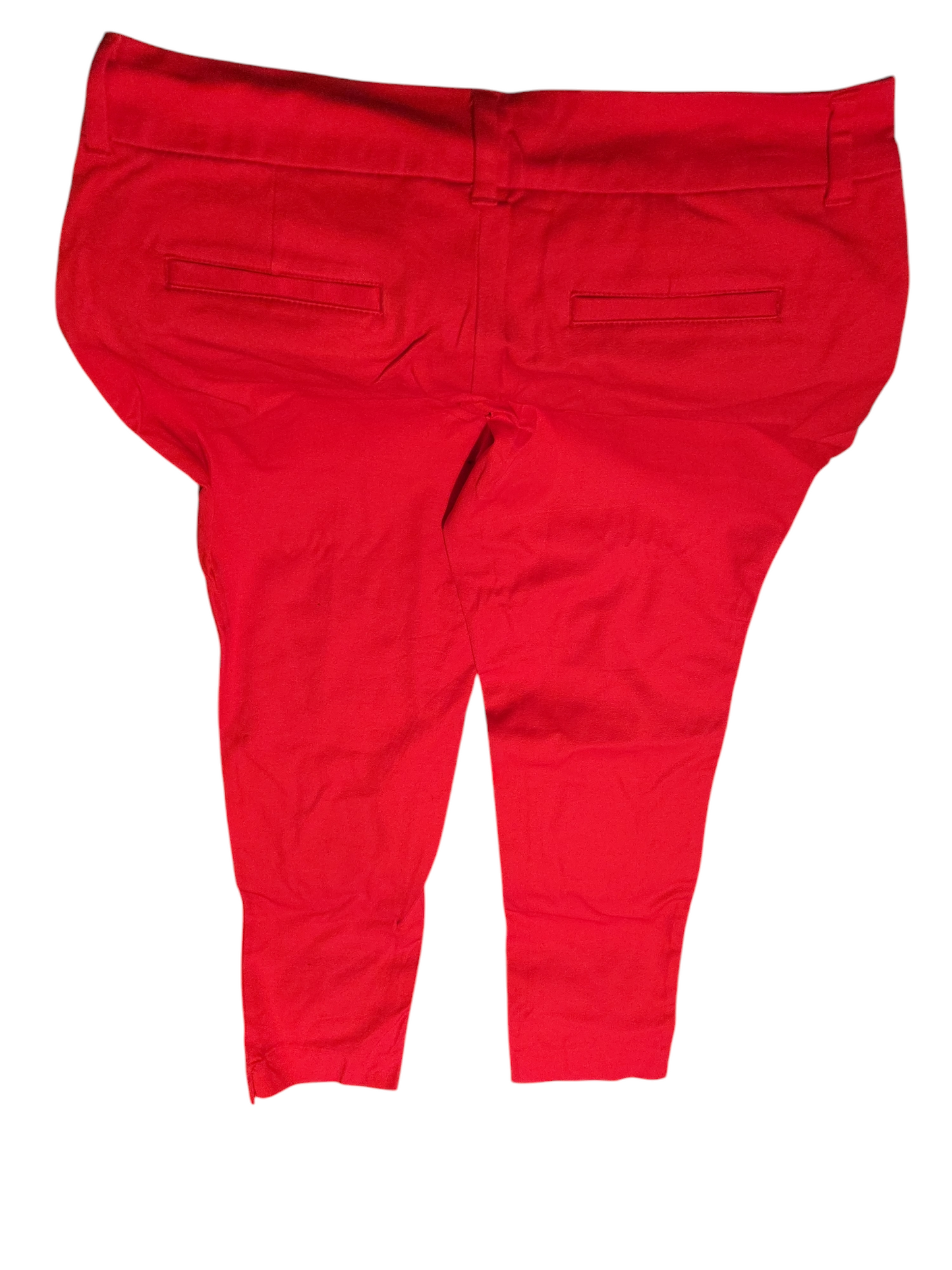 Women pants