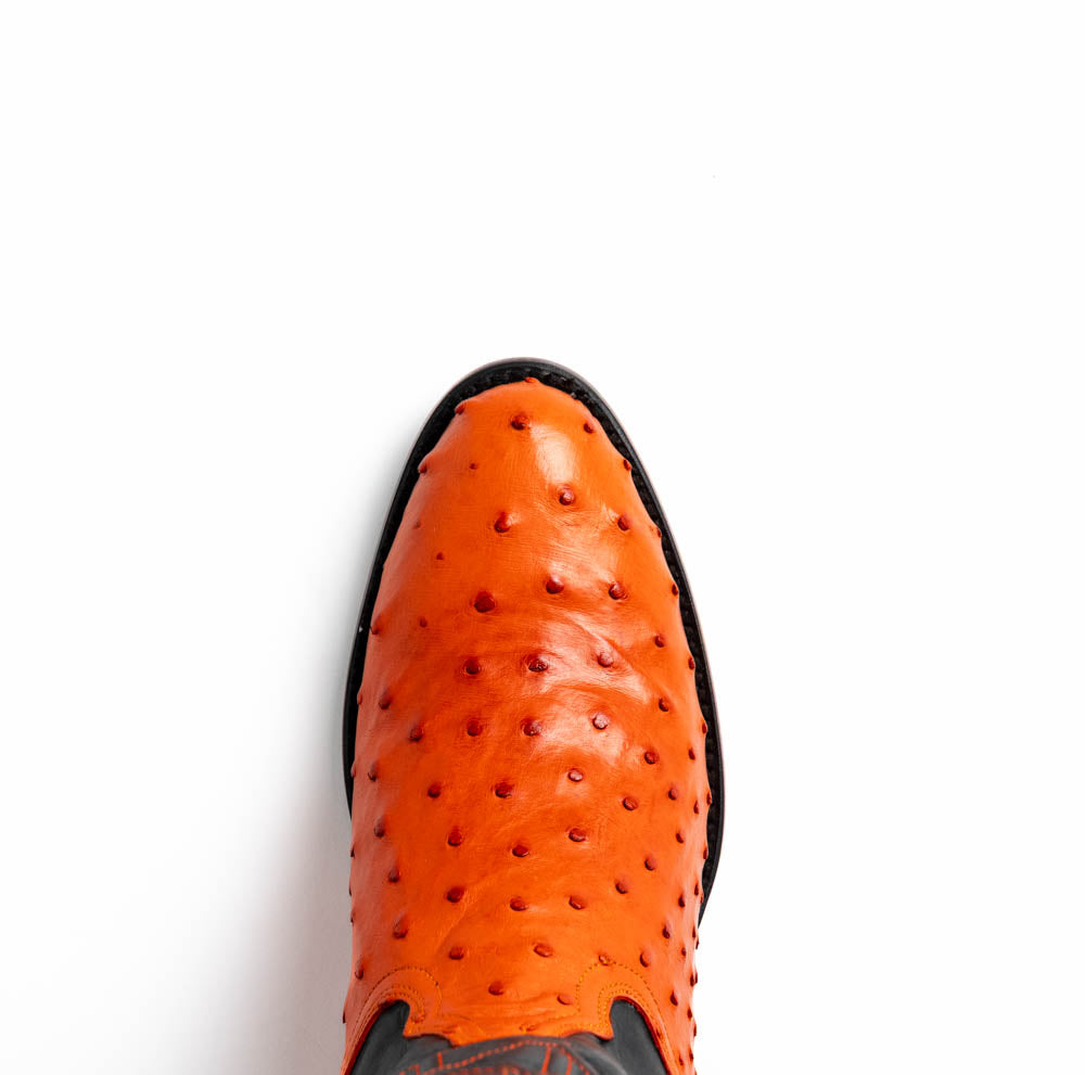 Savannah Orange